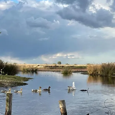 Loft Dans Chaumiere Pour 6 Personnes A Saintandre Villa
