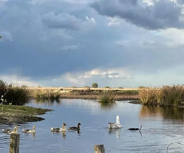 Loft Dans Chaumiere Pour 6 Personnes A Saintandre فيلة